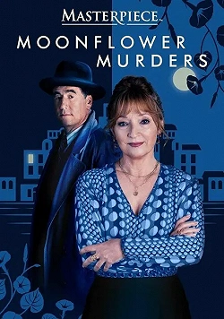 Совы охотятся ночью