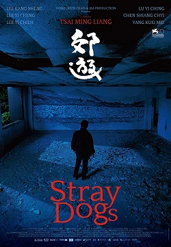 Бродячие псы