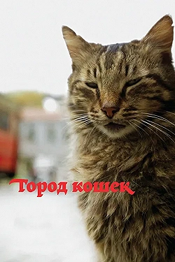 Постер Город кошек (2016)