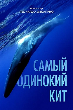 Постер Самый одинокий кит на планете: в поисках Пятидесятидвухгерцового кита (2021)
