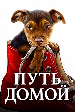 Постер Путь домой (2019)