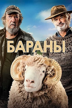 Постер Бараны (2020)