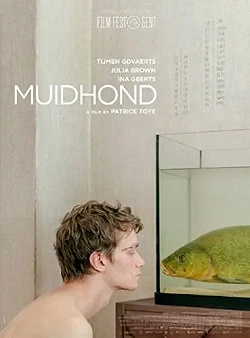 Постер Линь (2019)