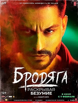 Постер Бродяга: Раскрывая безумие (2020)