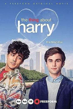Постер Кое-что о Гарри (2020)