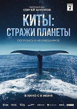 Постер Киты: Стражи планеты (2023)