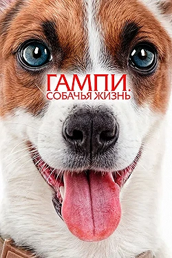 Постер Гампи. Собачья жизнь (2024)