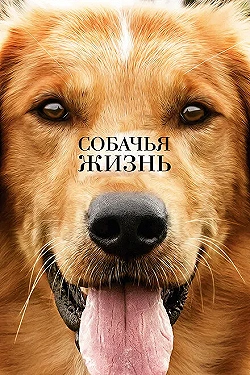 Постер Собачья жизнь (2017)