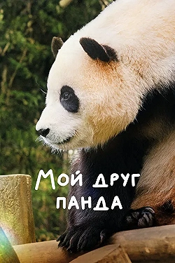 Постер Мой друг панда (2024)