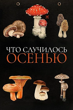 Постер Что случилось осенью (2024)