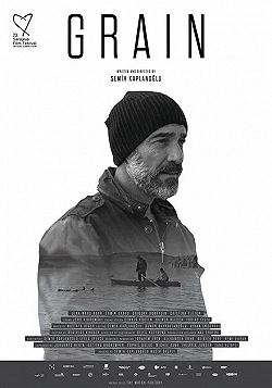 Постер Зерно (2017)