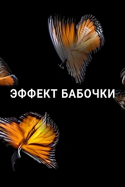 Постер Эффект бабочки (2016)