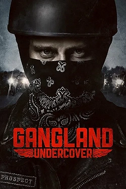 Постер Под прикрытием (2015)