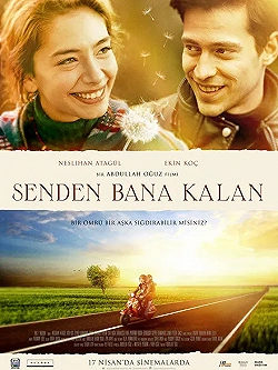 Постер Всё, что мне осталось от тебя (2015)