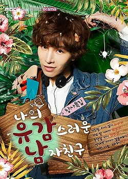 Постер Мой невезучий парень (2015)
