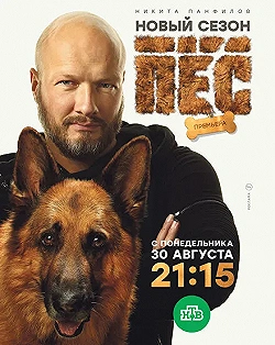 Постер Пёс (2015)