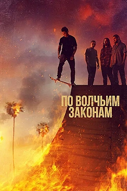 Постер По волчьим законам (2016)
