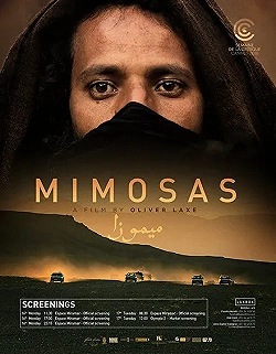 Постер Мимозы (2016)
