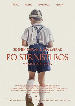 Постер Босиком по стерне (2017)