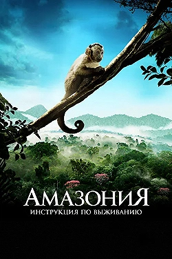 Постер Амазония: Инструкция по выживанию (2013)