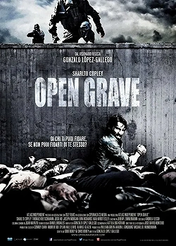 Постер Открытая могила (2013)