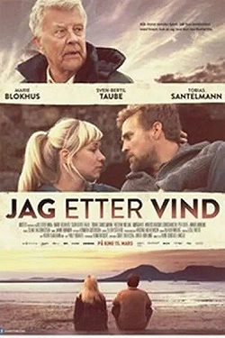 Постер Погоня за ветром (2013)
