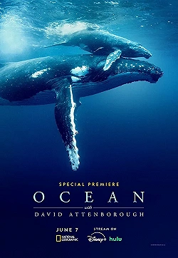 Постер Дэвид Аттенборо: Океан (2025)