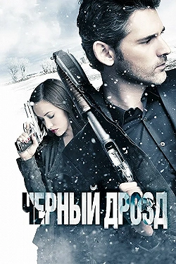 Постер Черный дрозд (2012)