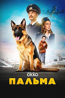 Постер Пальма (2020)